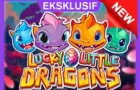 Lucky Little Dragons